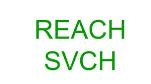 REACH认证 SVHC声明接受标准