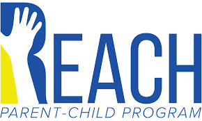 REACH SVHC通讯和报告要求