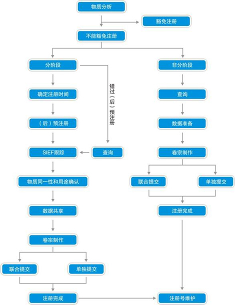 REACH注册流程